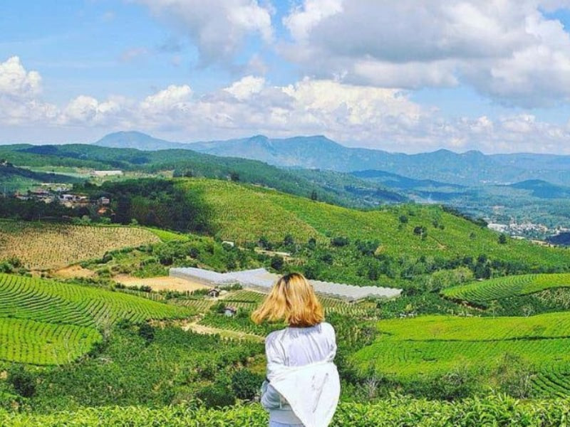 Tour Đà Lạt 5 ngày 4 đêm từ Hà Nội