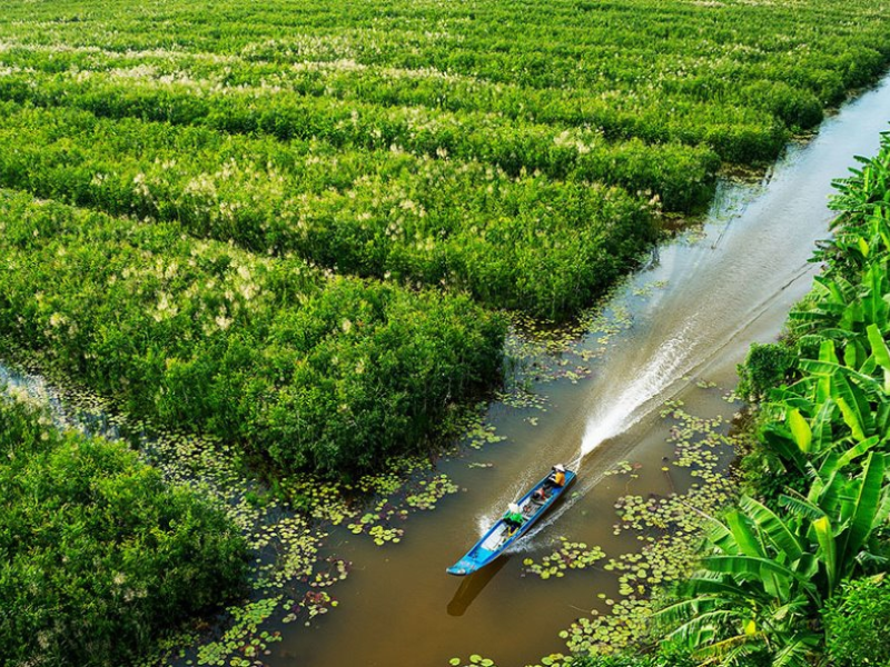 Tour Cà Mau 4 ngày 3 đêm từ Hà Nội