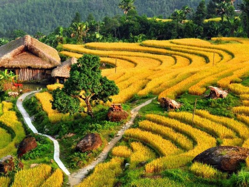 Tour Lào Cai 4 ngày 3 đêm từ Hà Nội