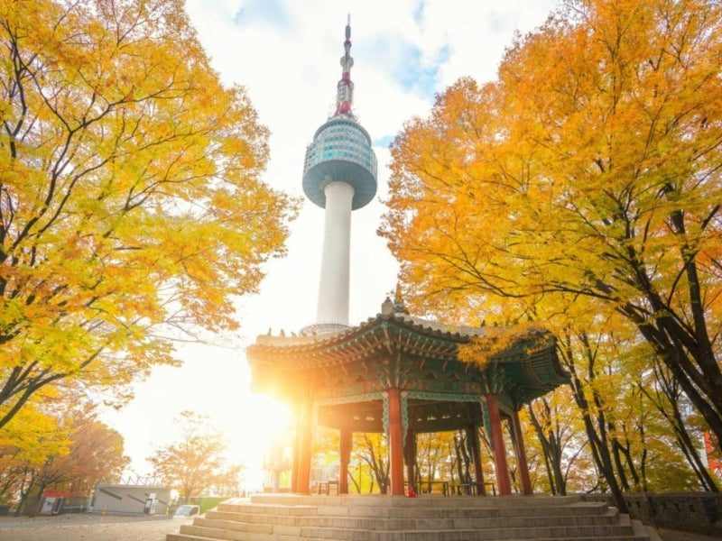 Tour Hàn Quốc 6 ngày 5 đêm từ TP.HCM