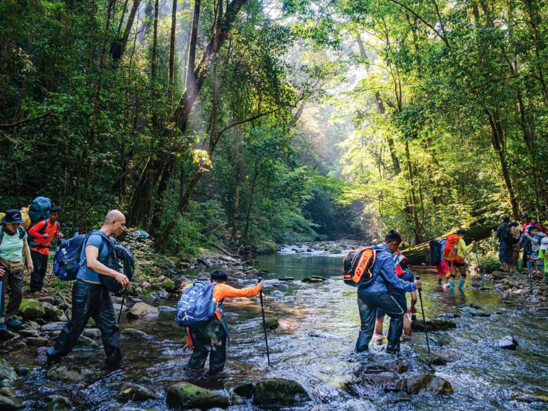 Tour Lâm Đồng 3 ngày 3 đêm từ TP.HCM