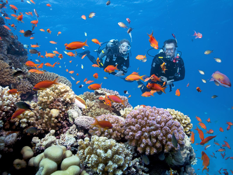 Tour nghỉ lễ 30/4 & 1/5 ở Côn Đảo