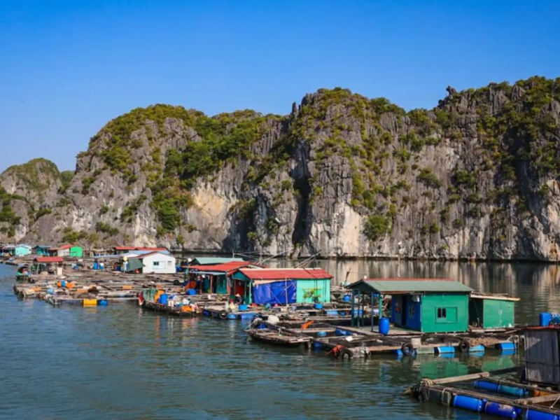 Tour Hải Phòng 2 Ngày 1 Đêm