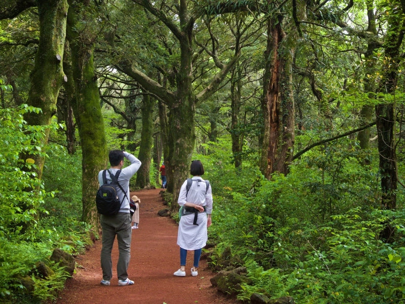 Tour nghỉ lễ 30/4 & 1/5 ở Hàn Quốc