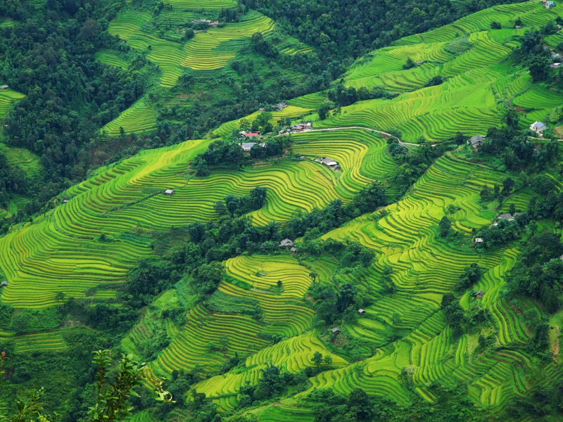 Tour Hưng Yên 3 Ngày 2 Đêm