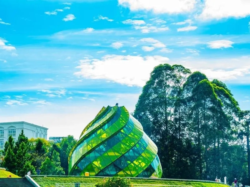 Tour Tây Nguyên 5 ngày 4 đêm từ Hà Nội