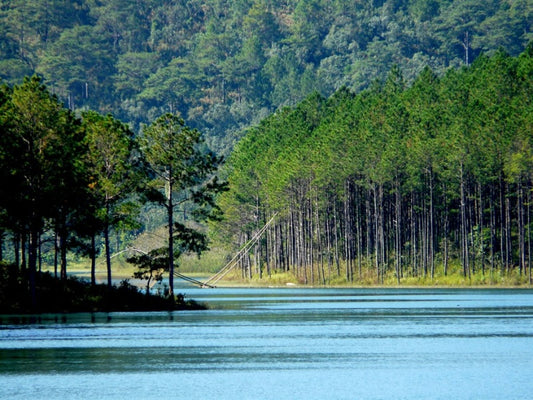 Tour Đà Lạt 4 ngày 3 đêm
