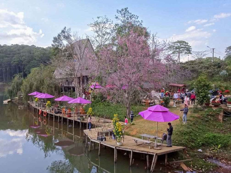 Tour Tây Nguyên 4 ngày 3 đêm từ TP.HCM