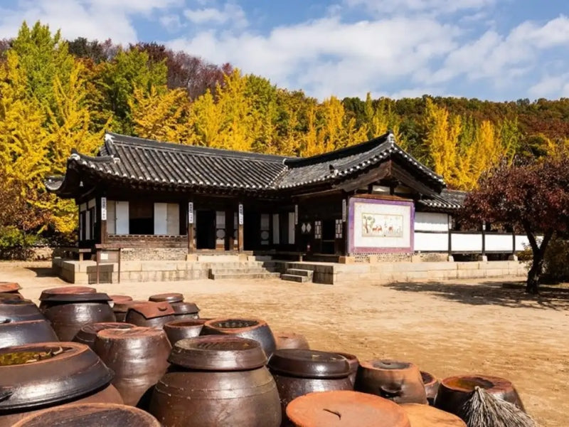 Tour Hàn Quốc 6 ngày 5 đêm