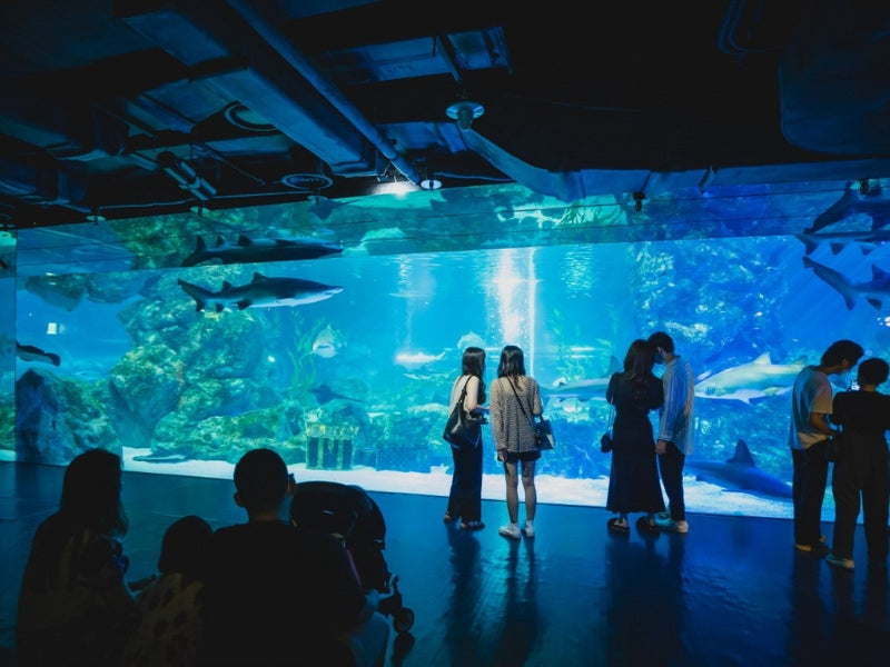 Tour Hàn Quốc 5 ngày 4 đêm từ Đà Nẵng