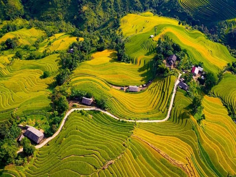 Tour Lào Cai 5 ngày 4 đêm từ TP.HCM