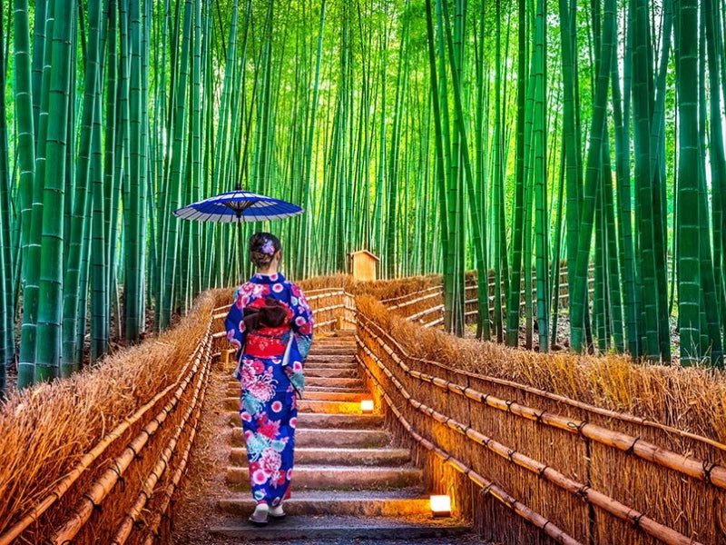 Tour Nhật Bản 5 ngày 4 đêm từ TP.HCM