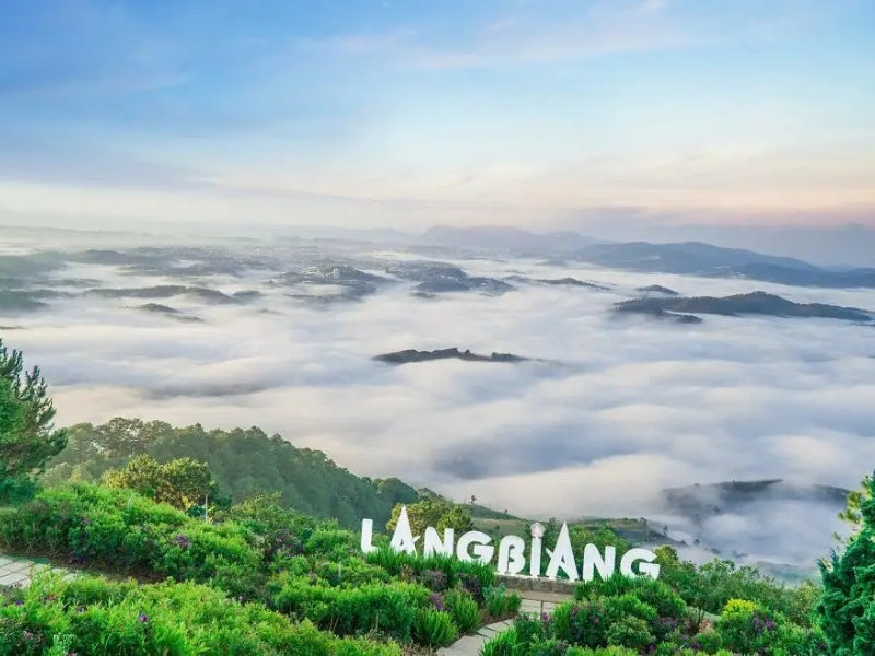 Tour Nha Trang 5 ngày 4 đêm từ Hà Nội