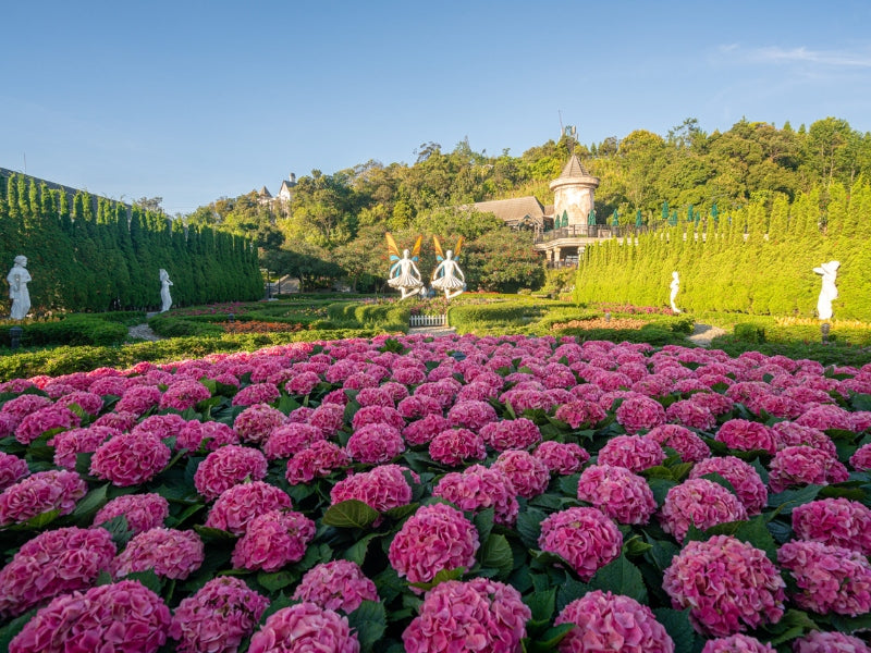 Tour Hội An 5 ngày 4 đêm từ TP.HCM