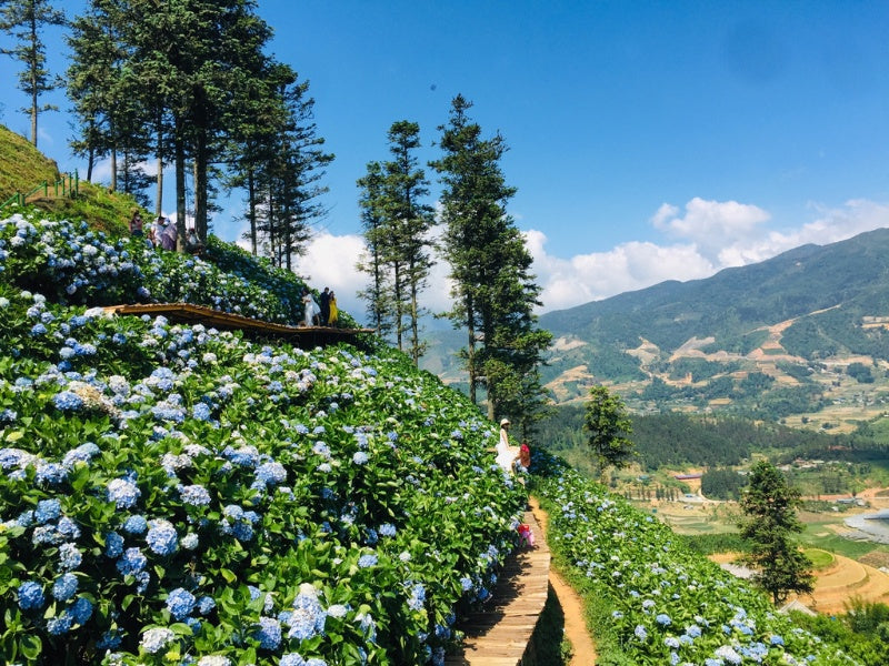 Tour Sapa 4 ngày 3 đêm từ TP. HCM