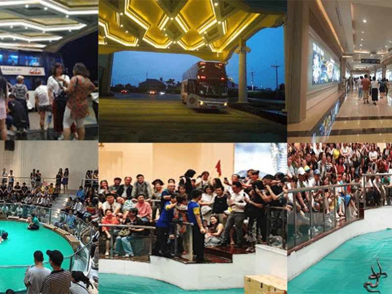 Tour Thái Lan 5 ngày 4 đêm từ Hà Nội