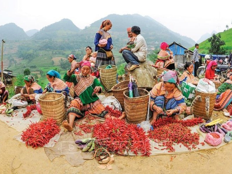 Tour Đông Bắc 5 Ngày 4 Đêm từ TP.HCM