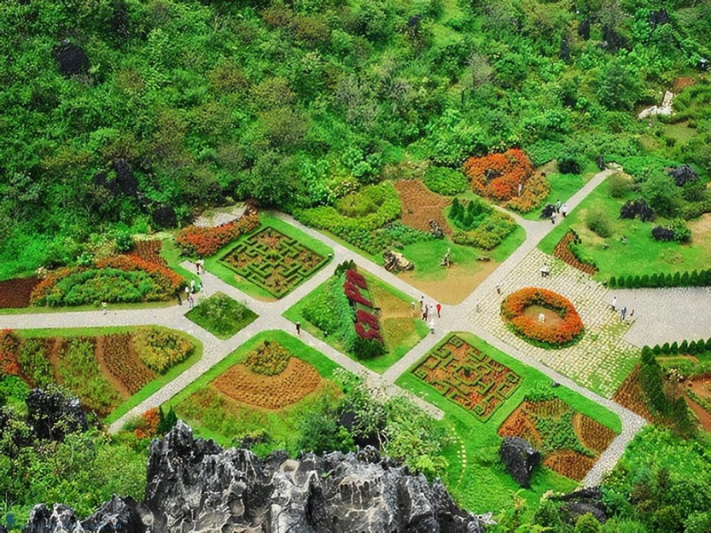 Tour Mộc Châu 6 ngày 5 đêm