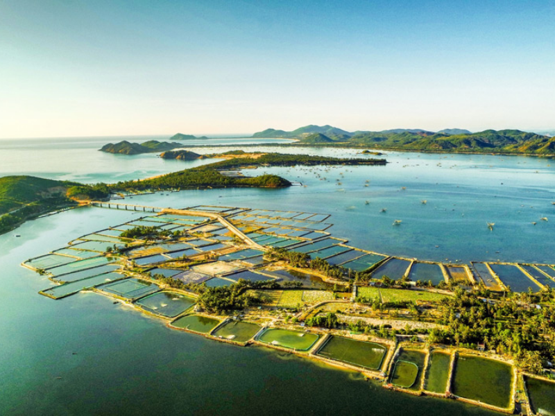 Tour Quy Nhơn - Phú Yên 1 Ngày
