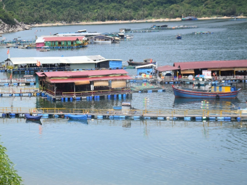 Tour Khám Phá Vịnh Xuân Đài 1 Ngày