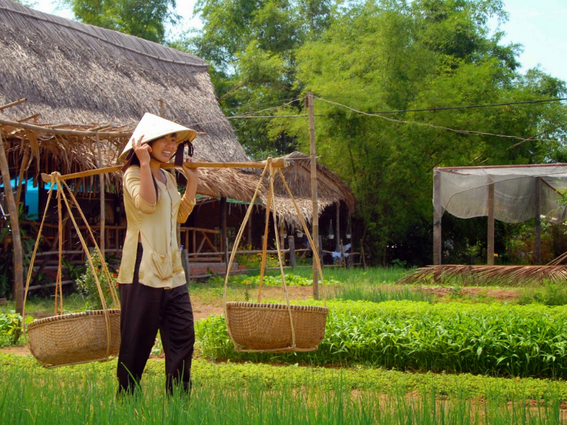 Tour Trải Nghiệm Làng Rau Trà Quế 1 Ngày