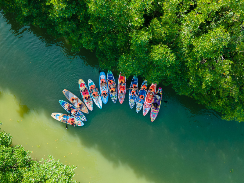 Tour Du Lịch Sinh Thái Cồn Chim - Đầm Thị Nại 1 Ngày