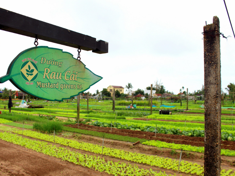 Tour Hội An - Làng nghề truyền thống 1 ngày (như Làng gốm Thanh Hà, Làng rau Trà Quế, Làng mộc Kim Bồng)