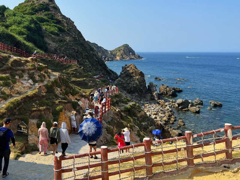 Tour Lặn Ngắm San Hô Quy Nhơn 1 Ngày