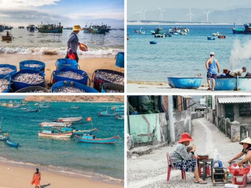 Tour Trải Nghiệm Làng Chài Quy Nhơn 1 Ngày