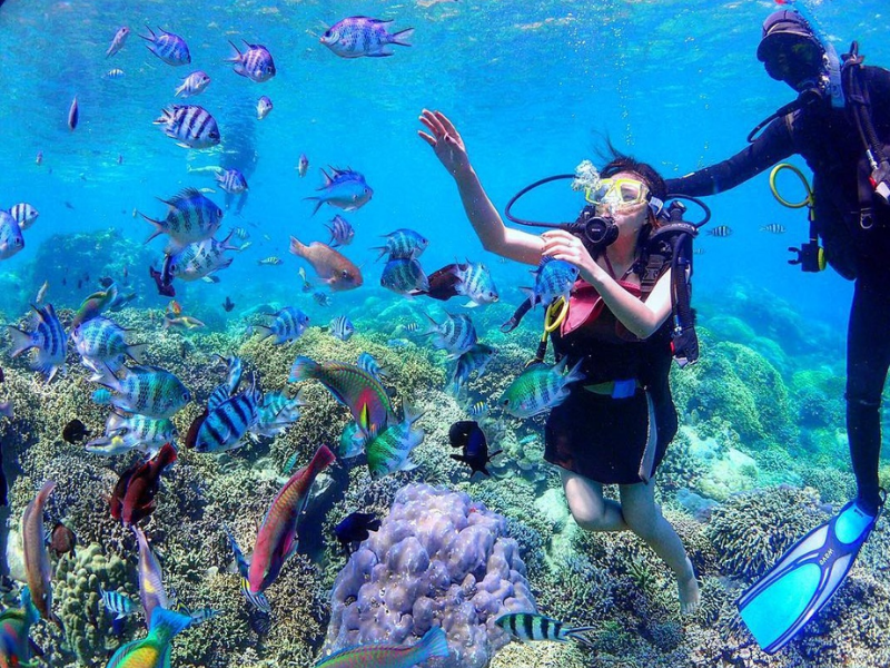 Tour Lặn Biển Chuyên Sâu tại Hòn Mun 1 Ngày