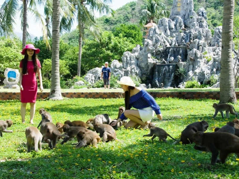 Tour Đảo Khỉ & Suối Hoa Lan 1 Ngày Từ Nha Trang
