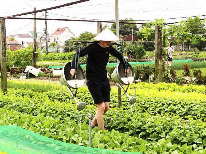 Tour Trải Nghiệm Làng Rau Trà Quế 1 Ngày