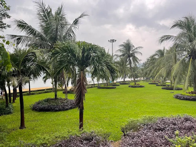 City Tour Quy Nhơn 1 Ngày