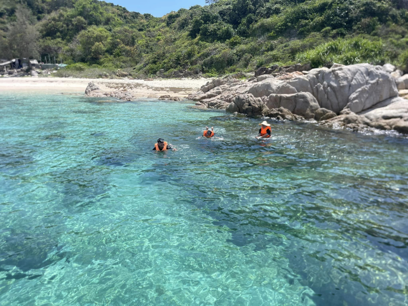 Tour Khám Phá Cù Lao Mái Nhà 1 Ngày