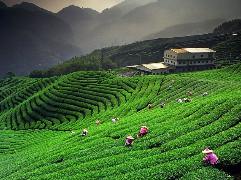 Tour Hà Nội 2 Ngày 1 Đêm Từ Hà Nội