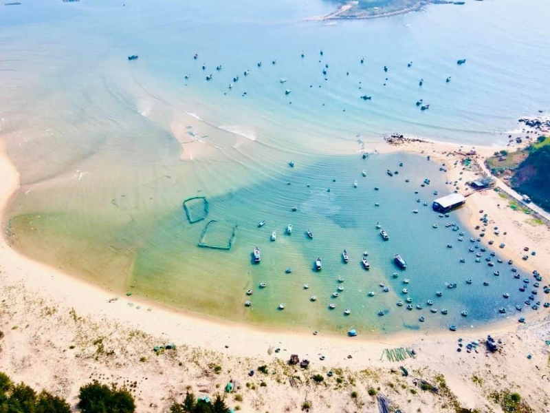 Tour Khám Phá Vịnh Xuân Đài 1 Ngày