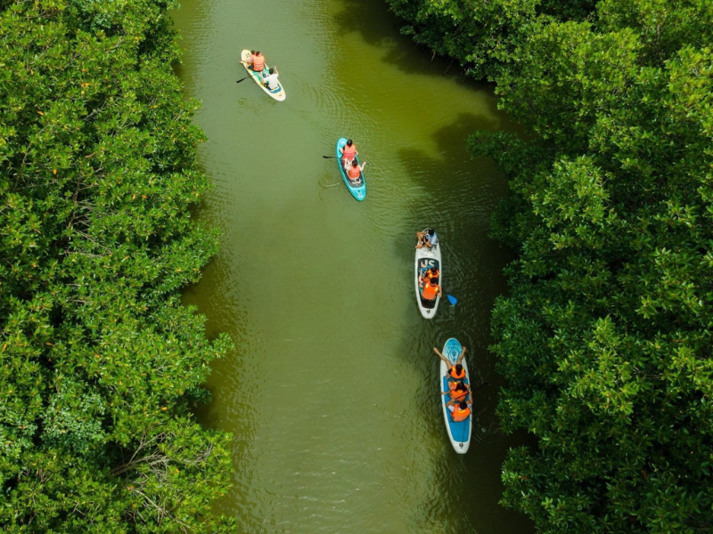 Tour Du Lịch Sinh Thái Cồn Chim - Đầm Thị Nại 1 Ngày