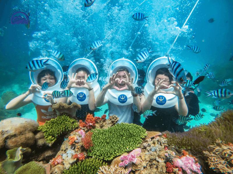 Tour Đi Bộ Dưới Biển Cù Lao Chàm 1 Ngày Từ Đà Nẵng