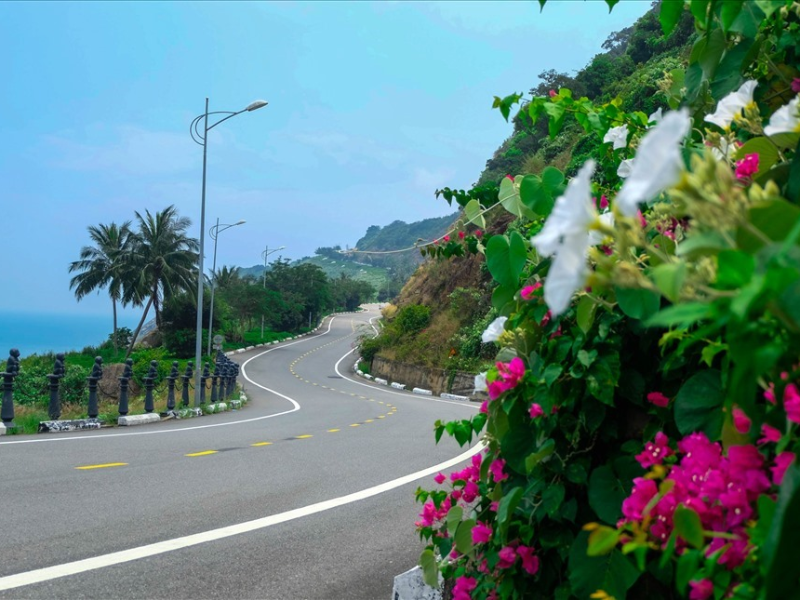 Tour Đà Nẵng - Bán Đảo Sơn Trà 1 Ngày