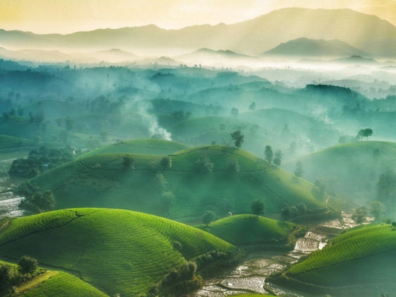 Tour Đông Bắc 4 Ngày 3 Đêm từ Cần Thơ