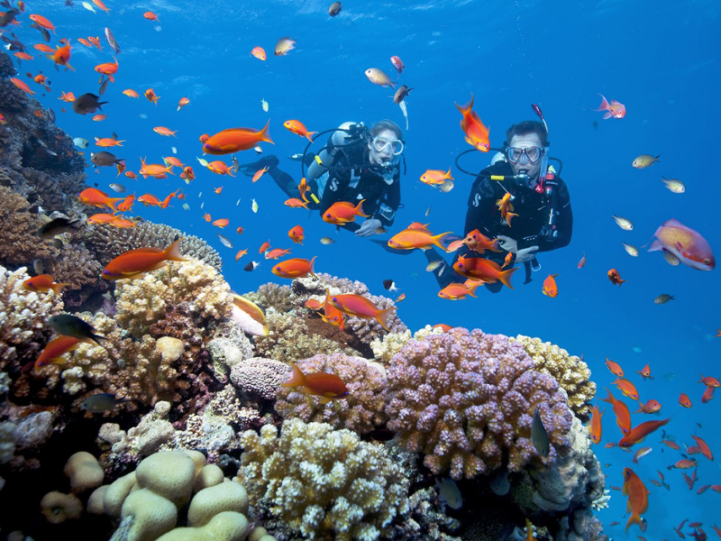 Tour 3 Đảo kết hợp Dù Lượn & Moto Nước 1 Ngày Từ Nha Trang