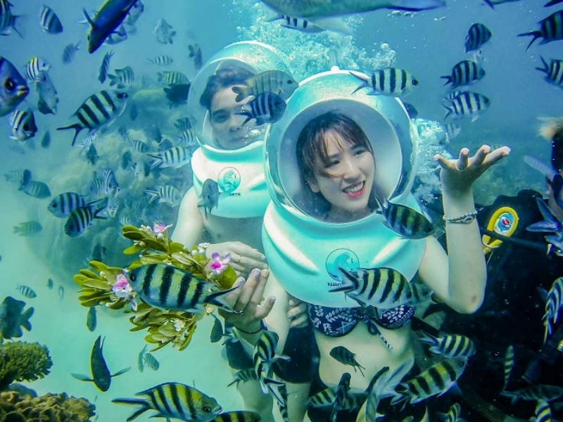 Tour Đi Bộ Dưới Biển Cù Lao Chàm 1 Ngày Từ Đà Nẵng