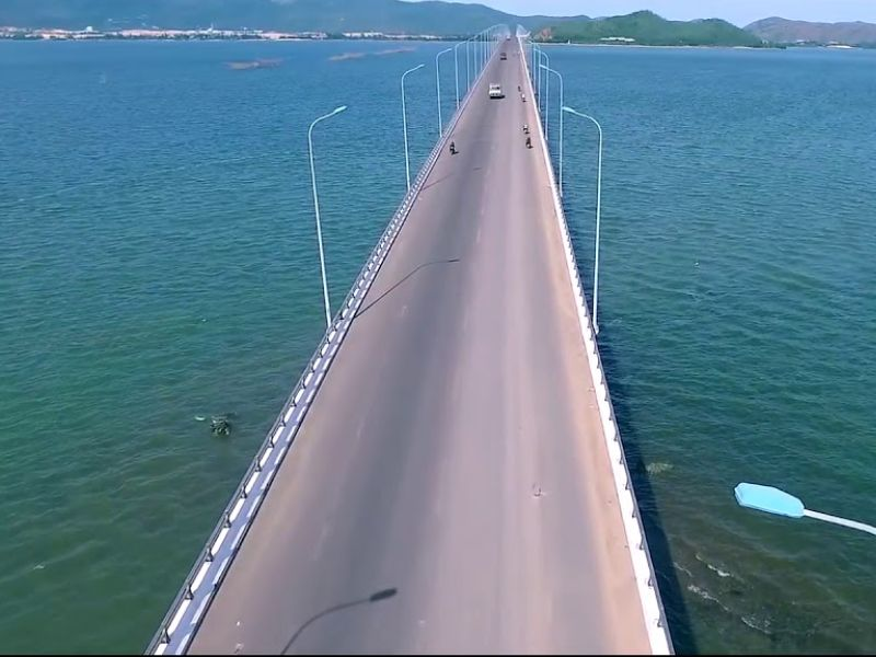 Tour Du Lịch Sinh Thái Cồn Chim - Đầm Thị Nại 1 Ngày