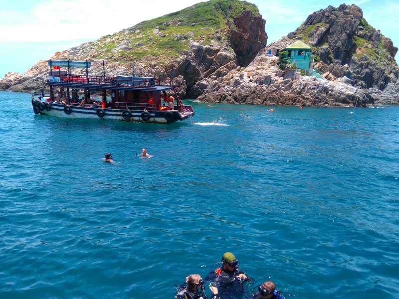 Tour Lặn Biển Chuyên Sâu tại Hòn Mun 1 Ngày