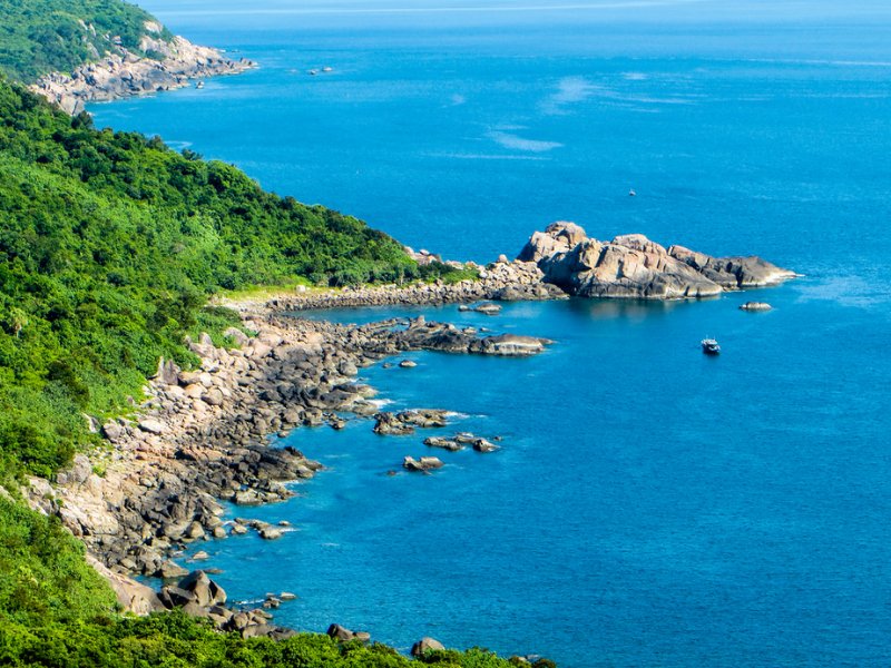 Tour Đà Nẵng - Bán Đảo Sơn Trà 1 Ngày
