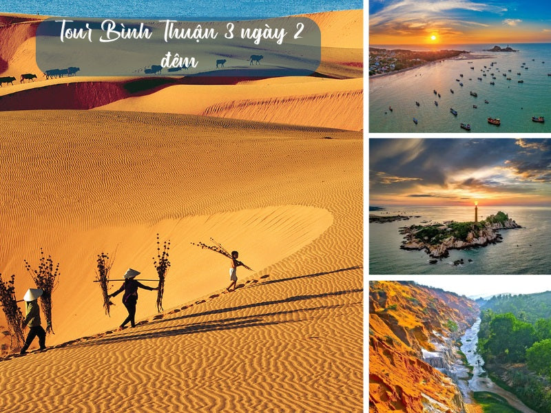 Tour Bình Thuận 3 ngày 2 đêm từ Cần Thơ