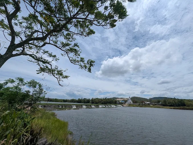 Tour khám phá Đập Tam Giang - Hồ điều hòa Hồ Sơn 1 ngày