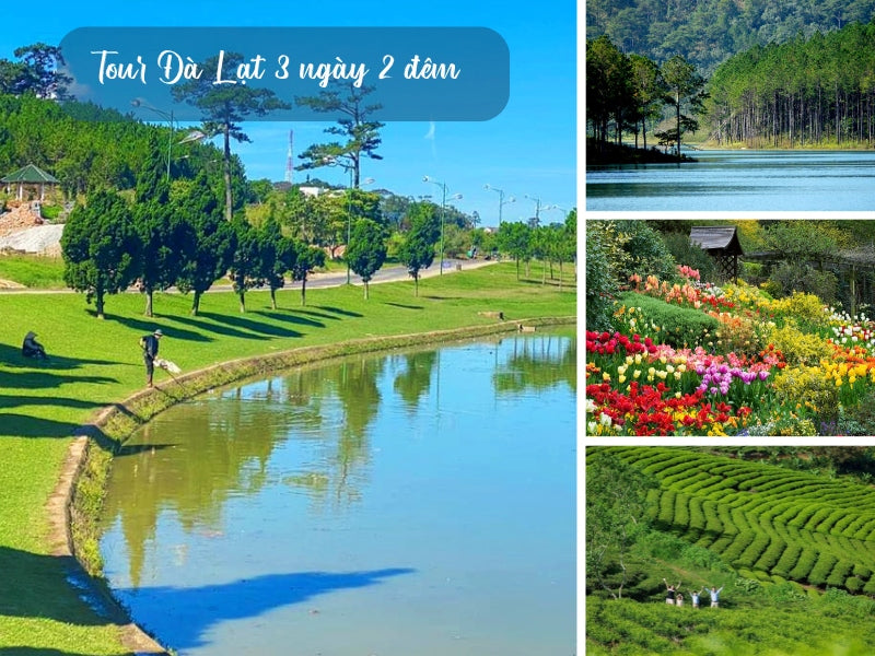 Tour Đà Lạt 3 ngày 2 đêm