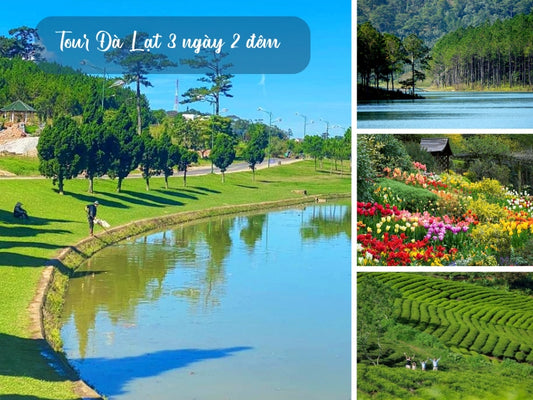 Tour Đà Lạt 3 ngày 2 đêm