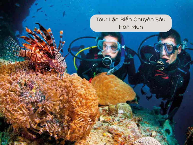 Tour Lặn Biển Chuyên Sâu tại Hòn Mun 1 Ngày